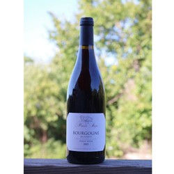 Maison Shaps Bourgogne Pinot Noir 2022 Les Lurets